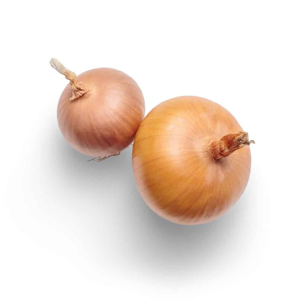 2 onions on white background